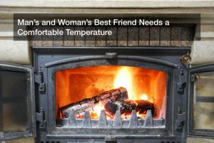 Man’s and Woman’s Best Friend Needs a Comfortable Temperature