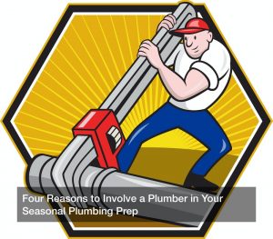 Four Reasons to Involve a Plumber in Your Seasonal Plumbing Prep