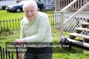 Here are 3 Benefits of Landscaping Your Home’s Yard