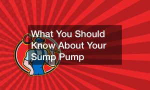 What You Should Know About Your Sump Pump