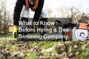 What to Know Before Hiring a Tree Trimming Company