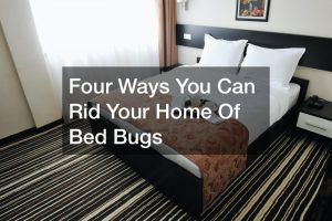 Four Ways You Can Rid Your Home Of Bed Bugs
