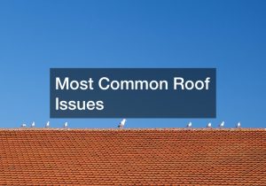 Most Common Roof Issues