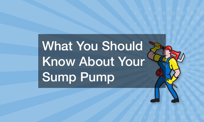 What You Should Know About Your Sump Pump