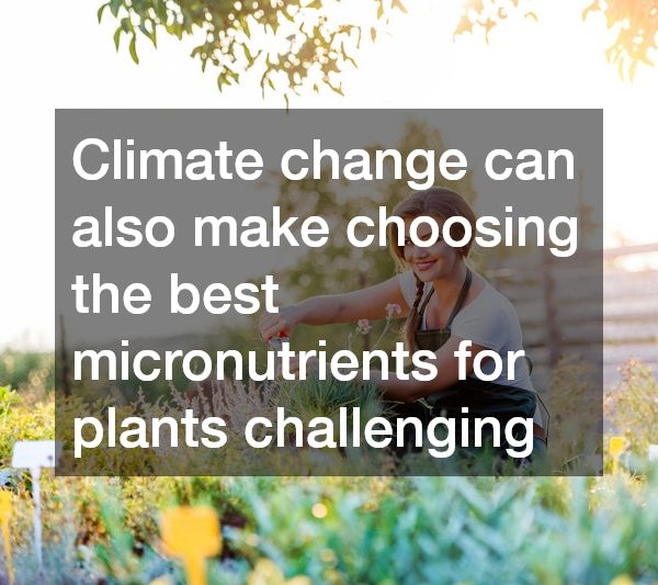 The Importance of Fertilizers and Root Enhancer