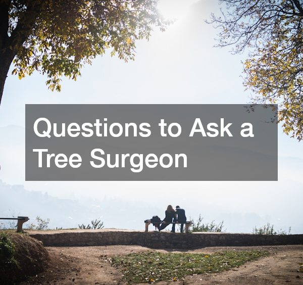 Questions to Ask a Tree Surgeon